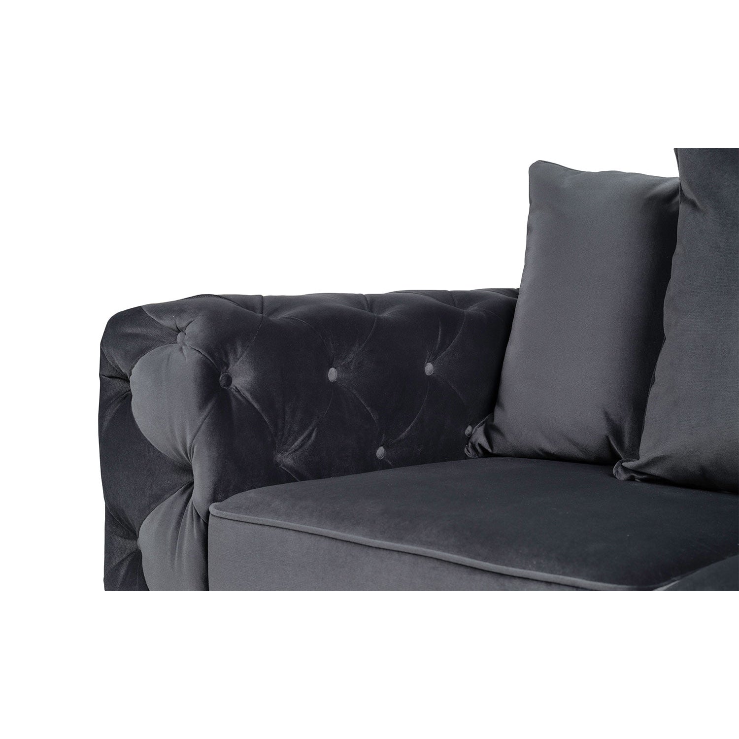 Anasty 2c2 Plush Sofa